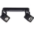 Потолочные светильники Arte Lamp A1314PL-2BK 1