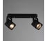 Потолочные светильники Arte Lamp A1314PL-2BK 4