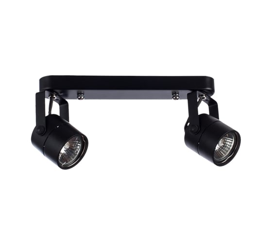 Потолочные светильники Arte Lamp A1310PL-2BK