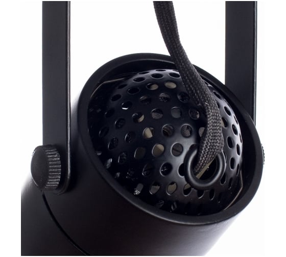 Потолочные светильники Arte Lamp A1310PL-2BK
