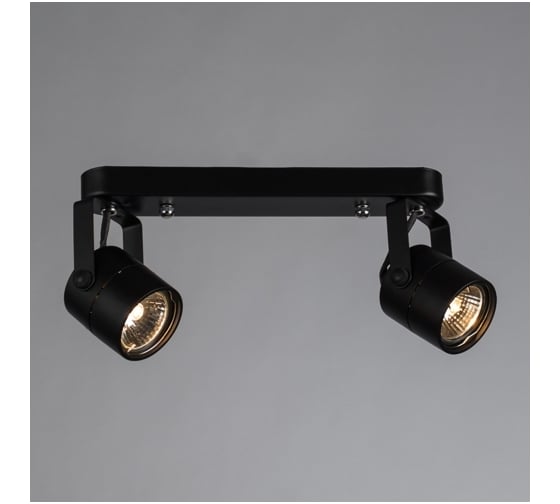 Потолочные светильники Arte Lamp A1310PL-2BK