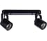 Потолочные светильники Arte Lamp A1310PL-2BK 1