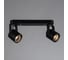 Потолочные светильники Arte Lamp A1310PL-2BK 4