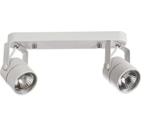 Потолочные светильники Arte Lamp A1310PL-2WH