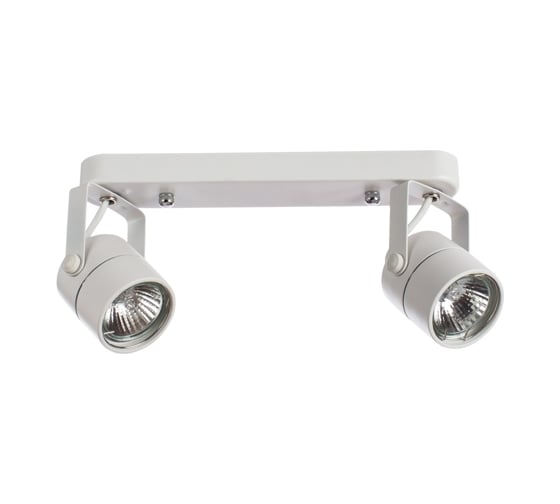 Потолочные светильники Arte Lamp A1310PL-2WH