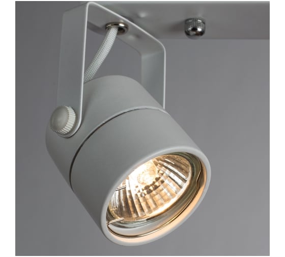 Потолочные светильники Arte Lamp A1310PL-2WH