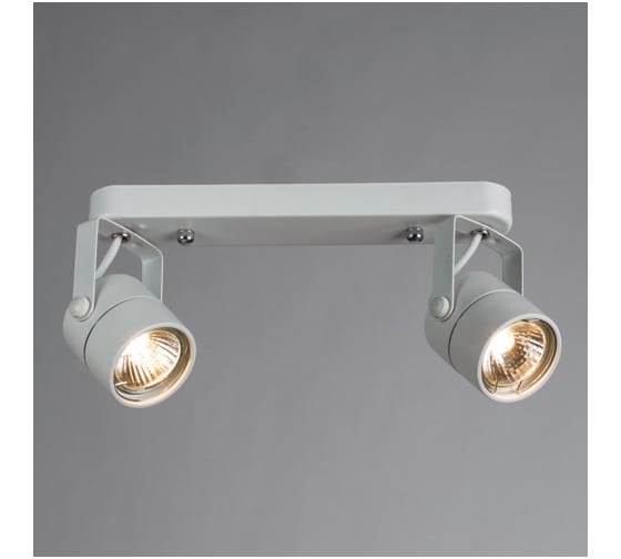 Потолочные светильники Arte Lamp A1310PL-2WH