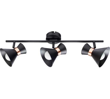 Потолочные светильники Arte Lamp A1406PL-3BK