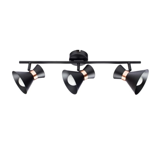 Потолочные светильники Arte Lamp A1406PL-3BK