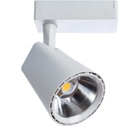Потолочные светильники Arte Lamp A1830PL-1WH
