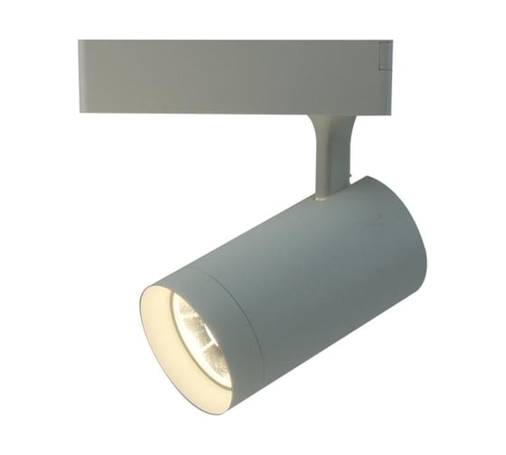 Потолочные светильники Arte Lamp A1720PL-1WH