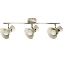 Потолочные светильники Arte Lamp A1406PL-3WG