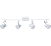 Потолочные светильники Arte Lamp A4301PL-4WH