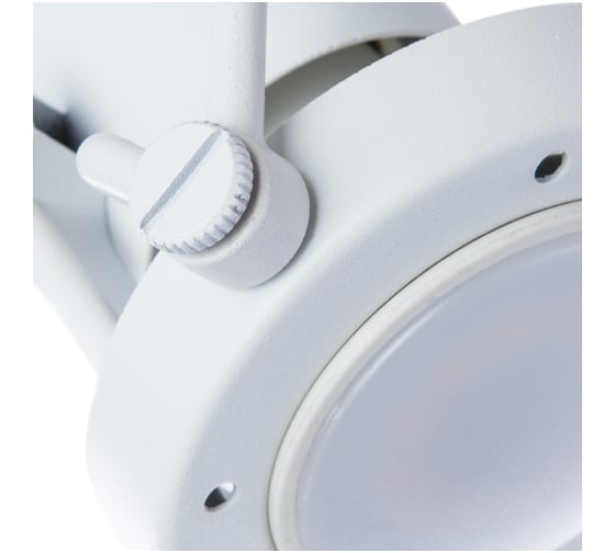 Потолочные светильники Arte Lamp A4301PL-4WH