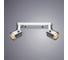 Потолочные светильники Arte Lamp A1310PL-2CC 2