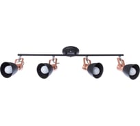 Потолочные светильники Arte Lamp A1677PL-4BK