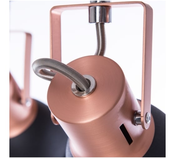 Потолочные светильники Arte Lamp A1677PL-4BK