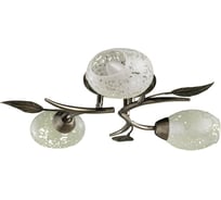 Потолочные светильники Arte Lamp A6157PL-3AB