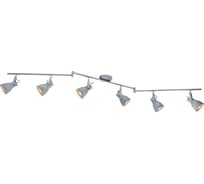 Потолочные светильники Arte Lamp A1677PL-6GY