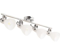 Потолочные светильники Arte Lamp A1142PL-4CC
