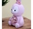Ночник iLikeGift «Flower bunny», pink 2104-6A 4