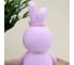 Ночник iLikeGift «Flower bunny», pink 2104-6A 5