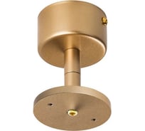 Крепление потолочное Lightstar для светильников 21443Х/21448X Rullo 590010