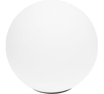 Плафон Lightstar с черным металлическим кольцом для трека PRO Teta 595110