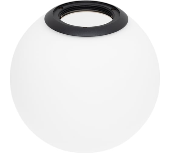 Плафон Lightstar с черным металлическим кольцом для трека PRO Teta 595110