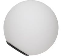 Плафон Lightstar с черным металлическим кольцом для трека PRO Teta 595120