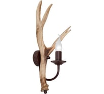 Настенный светильник Vitaluce V1493/1A