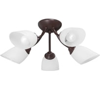 Люстра Vitaluce V3404/5PL