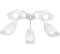 Люстра Vitaluce V3195/5PL