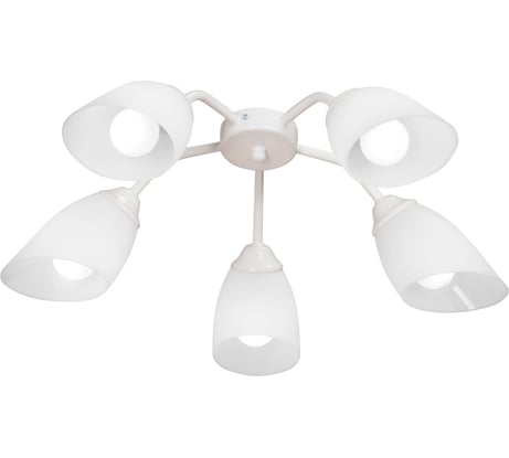 Люстра Vitaluce V3195/5PL