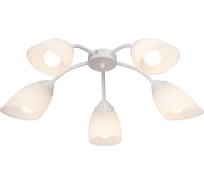 Люстра Vitaluce V3194/5PL