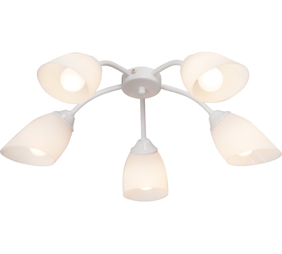 Люстра Vitaluce V3194/5PL 1