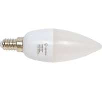 Светодиодная лампа Lightstar LED 940502