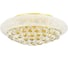 Люстра потолочная Lightstar Monile 704092 1