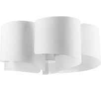 Люстра потолочная Lightstar Pittore 811050