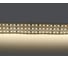 Лента Lightstar белого свечения 24V 423004 1