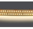 Лента Lightstar белого свечения 24V 422004 1