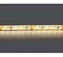 Лента Lightstar белого свечения 24V 421004