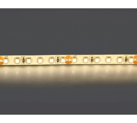 Лента Lightstar белого свечения 24V 421004 1