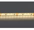 Лента Lightstar белого свечения 24V 421004 1