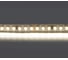Лента Lightstar белого свечения 24V 420824 1
