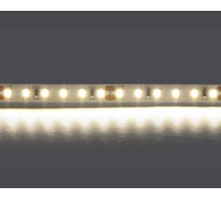Лента Lightstar белого свечения 24V 420804