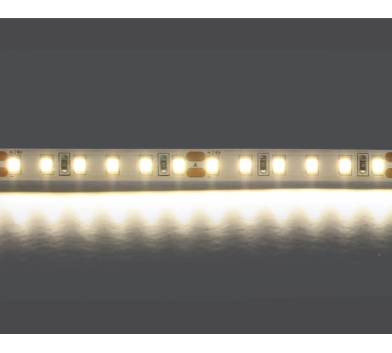 Лента Lightstar белого свечения 24V 420804 1