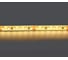 Лента Lightstar теплого белого свечения 24V 421003 1