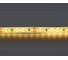 Лента Lightstar теплого белого свечения 24V 420853 1