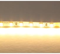 Лента Lightstar теплого белого свечения 24V 420503
